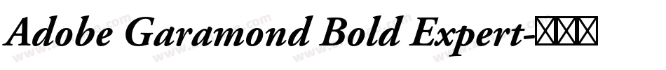 Adobe Garamond Bold Expert字体转换